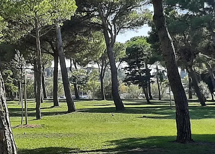 Daire Entre Port Et Village